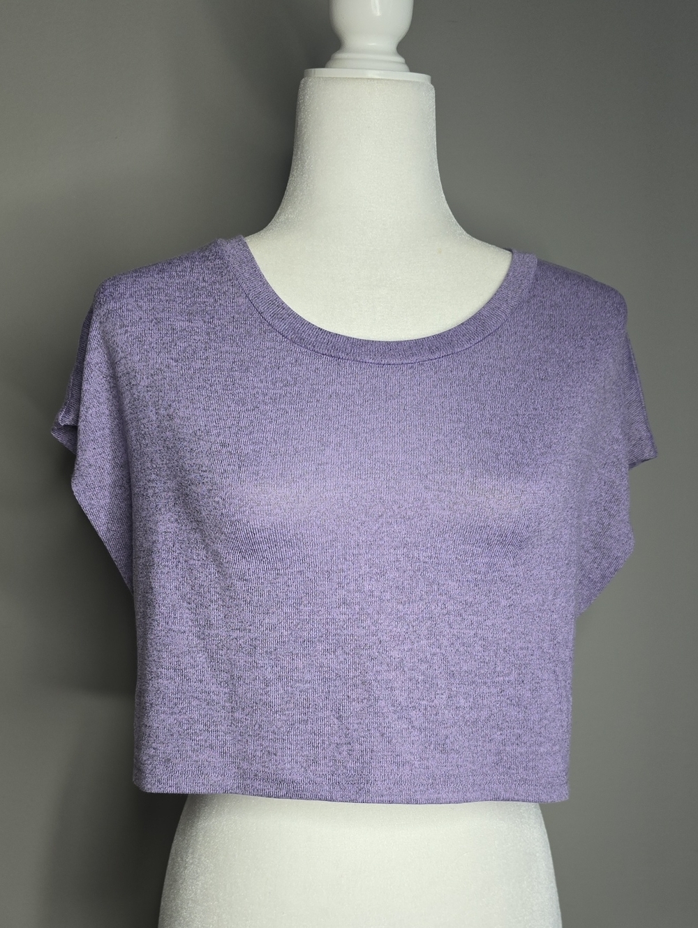 Daisy Lavender Heathered Crop Top Short Sleeve Tee Medium